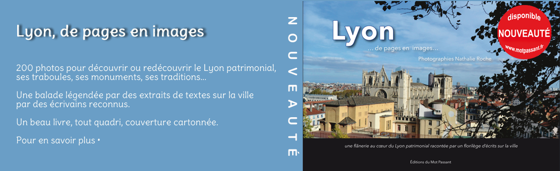Lyon, de pages en images
